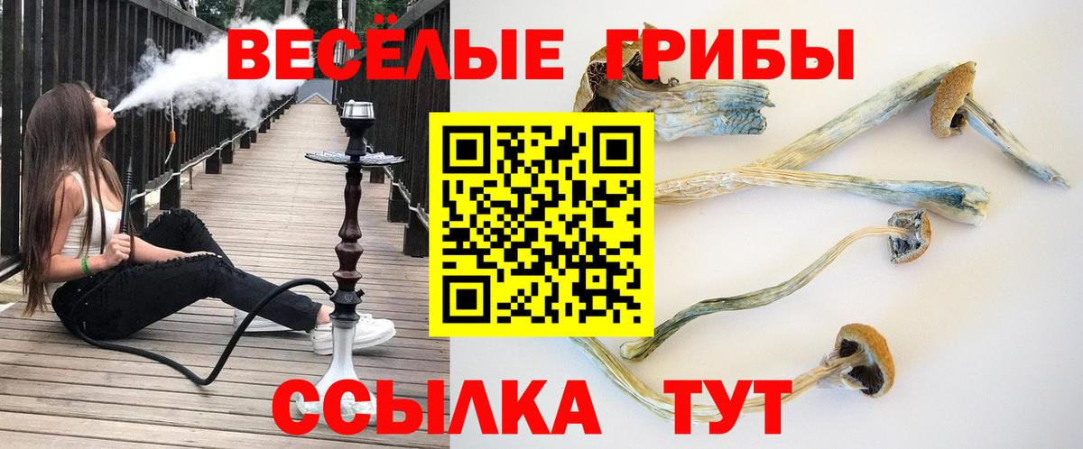 Псилоцибиновые грибы мухоморы  Вход с VPN  Ишимбай 
